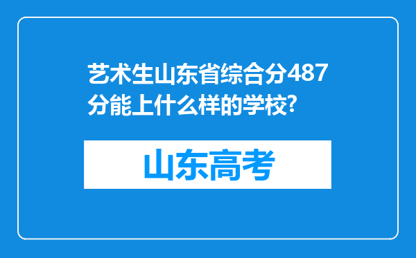 艺术生山东省综合分487分能上什么样的学校?