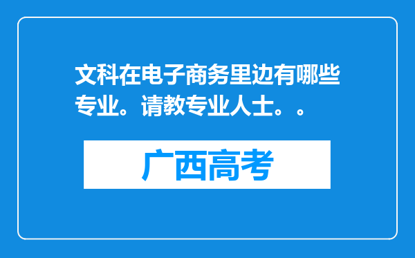 文科在电子商务里边有哪些专业。请教专业人士。。