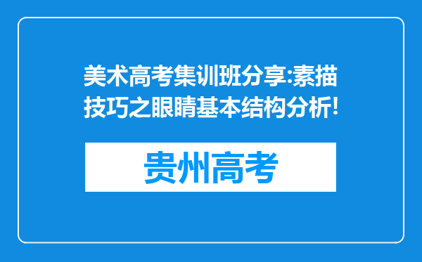 美术高考集训班分享:素描技巧之眼睛基本结构分析!