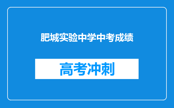 肥城实验中学中考成绩