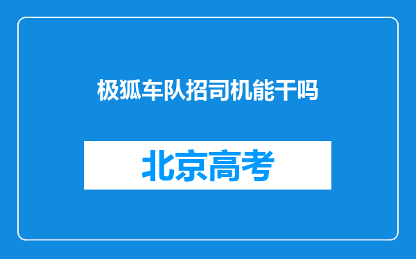 极狐车队招司机能干吗