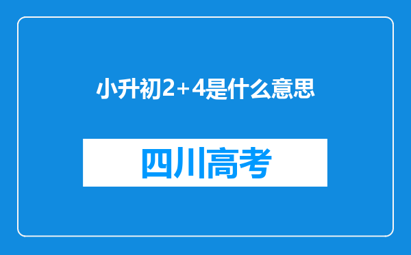 小升初2+4是什么意思