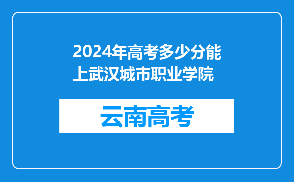 2024年高考多少分能上武汉城市职业学院