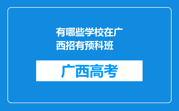 有哪些学校在广西招有预科班