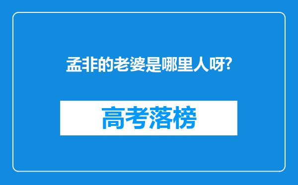 孟非的老婆是哪里人呀?