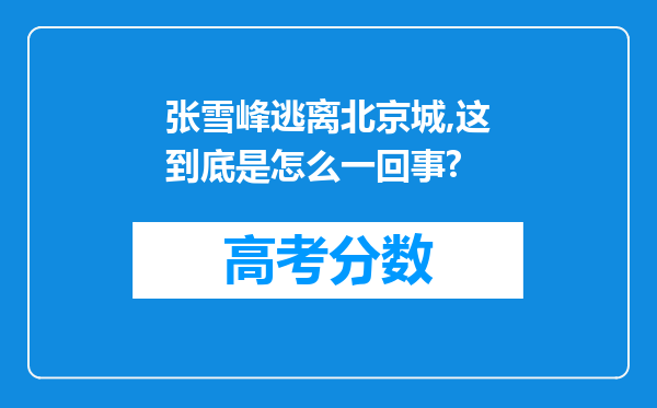 张雪峰逃离北京城,这到底是怎么一回事?