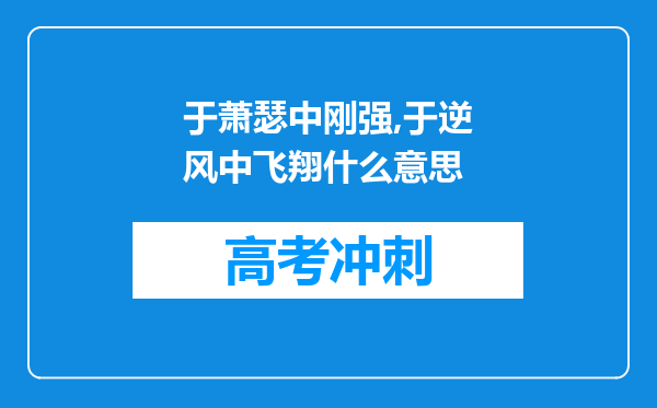 于萧瑟中刚强,于逆风中飞翔什么意思