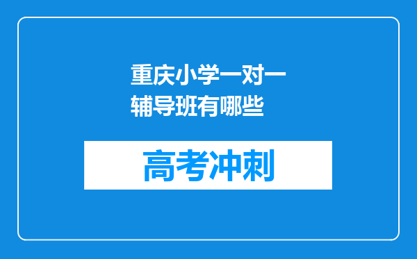 重庆小学一对一辅导班有哪些