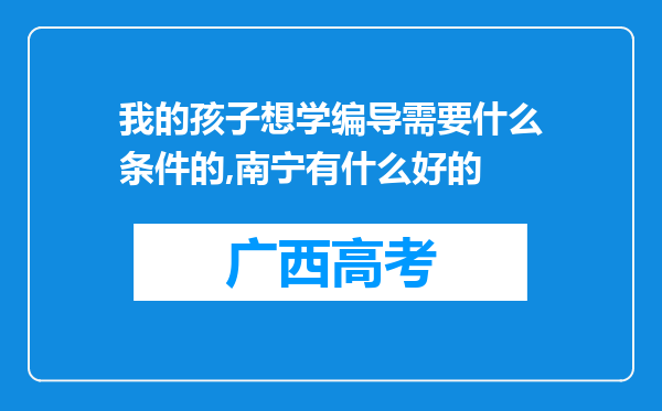 我的孩子想学编导需要什么条件的,南宁有什么好的