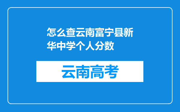 怎么查云南富宁县新华中学个人分数