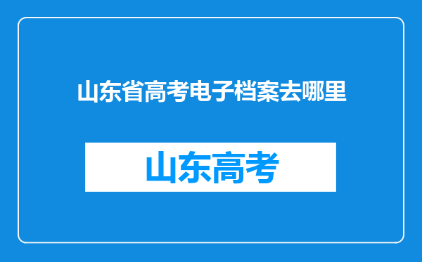 山东省高考电子档案去哪里