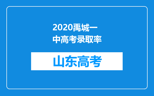 2020禹城一中高考录取率