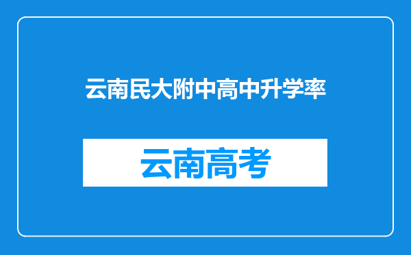 云南民大附中高中升学率