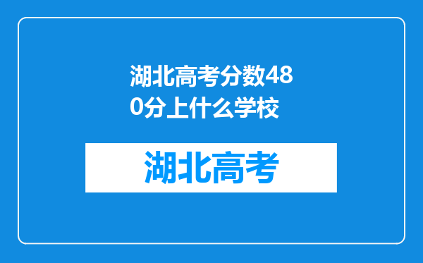 湖北高考分数480分上什么学校