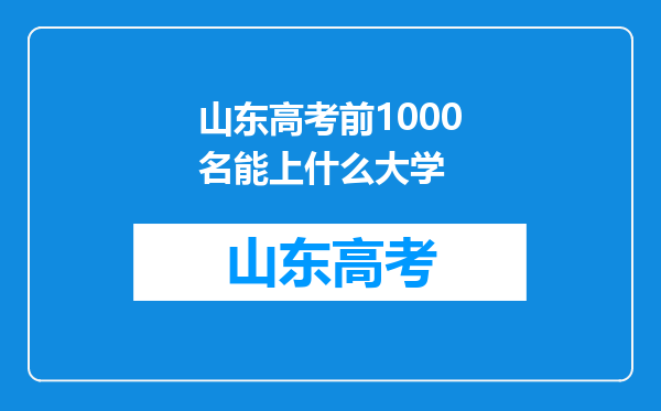 山东高考前1000名能上什么大学