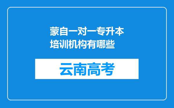 蒙自一对一专升本培训机构有哪些