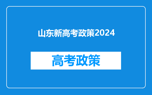 山东新高考政策2024