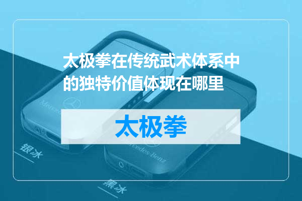 太极拳在传统武术体系中的独特价值体现在哪里
