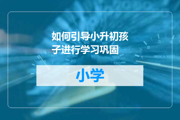 如何引导小升初孩子进行学习巩固
