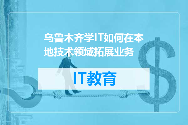 乌鲁木齐学IT如何在本地技术领域拓展业务