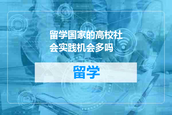 留学国家的高校社会实践机会多吗