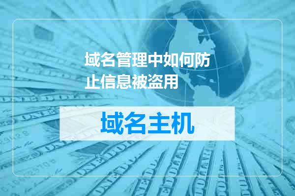 域名管理中如何防止信息被盗用