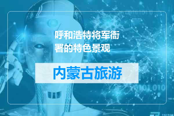 呼和浩特将军衙署的特色景观