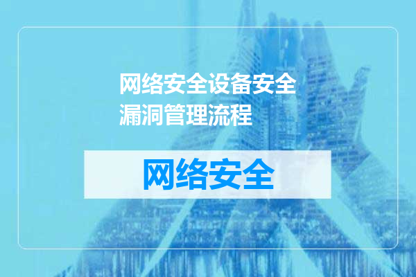 网络安全设备安全漏洞管理流程