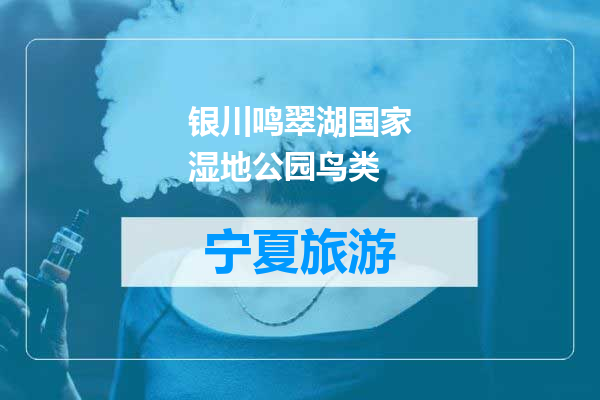 银川鸣翠湖国家湿地公园鸟类