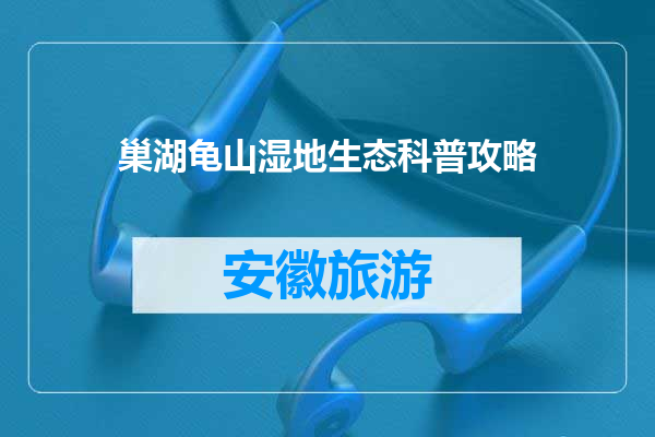 巢湖龟山湿地生态科普攻略