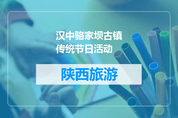 汉中骆家坝古镇传统节日活动