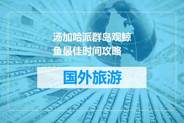 汤加哈派群岛观鲸鱼最佳时间攻略