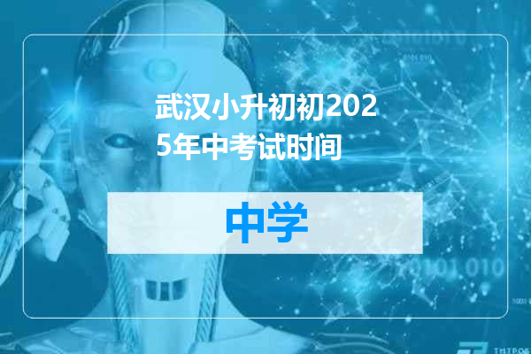 武汉小升初初2025年中考试时间