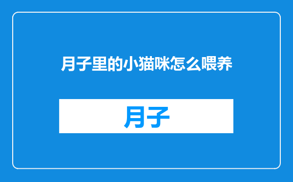 月子里的小猫咪怎么喂养