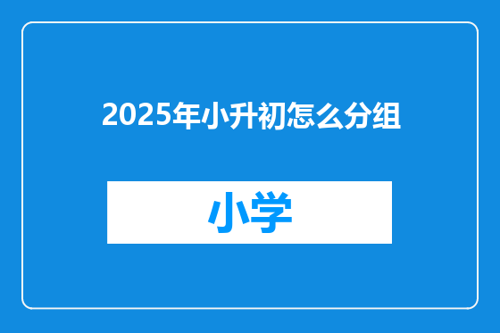 2025年小升初怎么分组