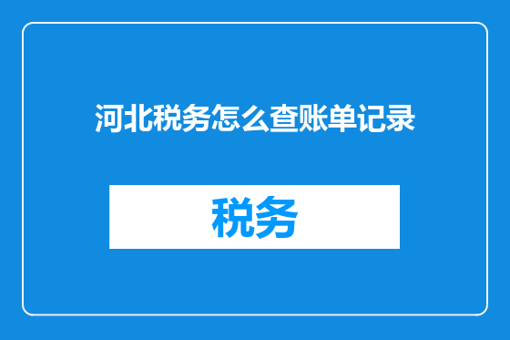 河北税务怎么查账单记录