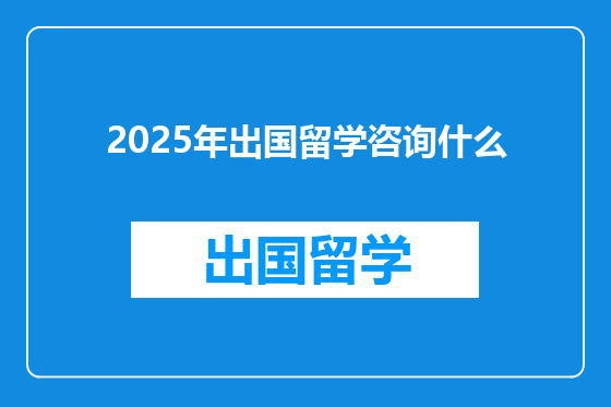 2025年出国留学咨询什么