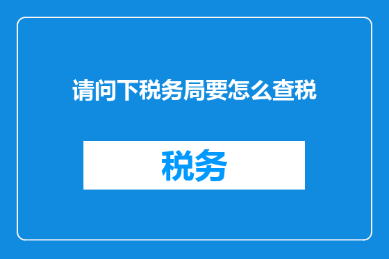请问下税务局要怎么查税