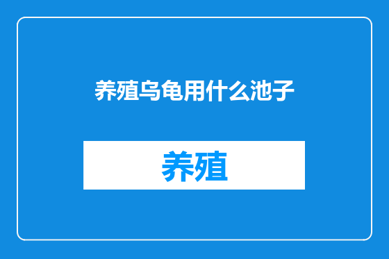养殖乌龟用什么池子
