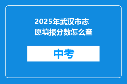 2025年武汉市志愿填报分数怎么查