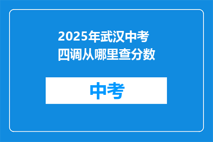 2025年武汉中考四调从哪里查分数