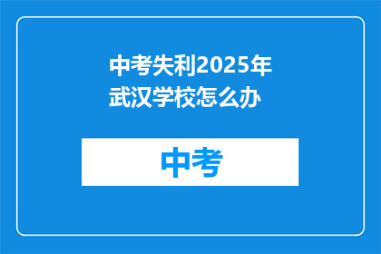 中考失利2025年武汉学校怎么办