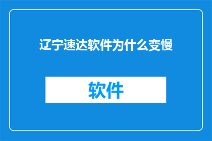 辽宁速达软件为什么变慢