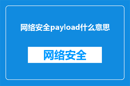 网络安全payload什么意思