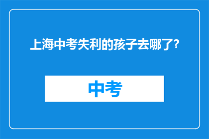 上海中考失利的孩子去哪了？