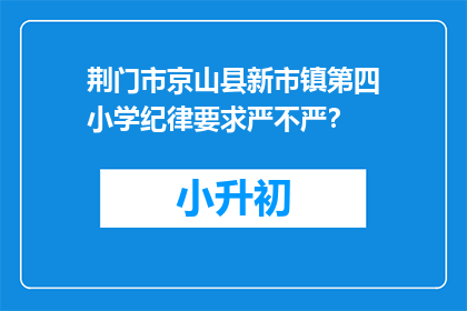 荆门市京山县新市镇第四小学纪律要求严不严？
