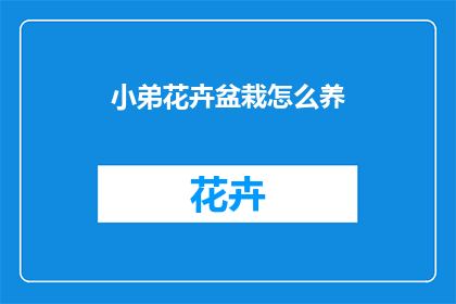 小弟花卉盆栽怎么养