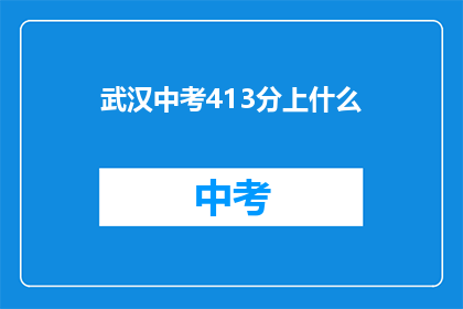 武汉中考413分上什么