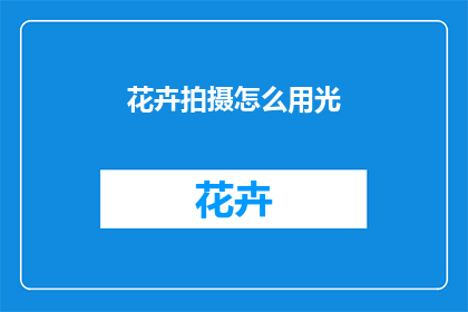 花卉拍摄怎么用光
