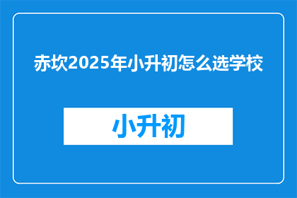 赤坎2025年小升初怎么选学校